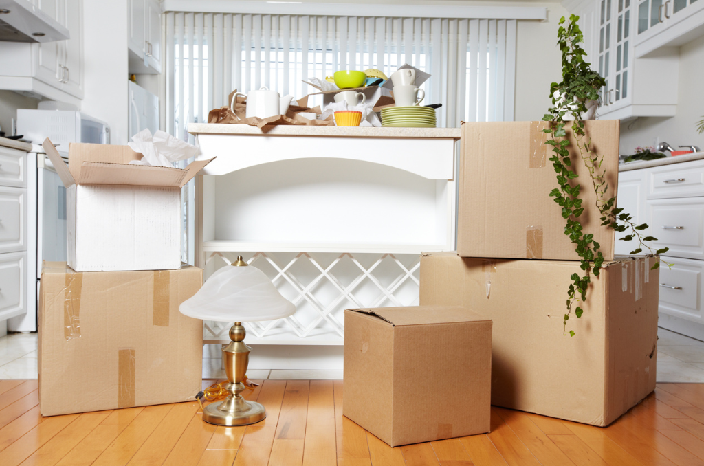 Move-Out & Move-In Cleaning Services